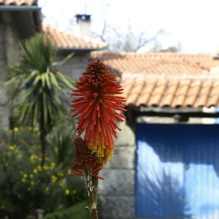 Quinta De Sao Simao *