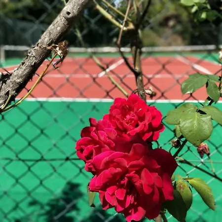 Quinta De São Simão Alojamento de Turismo Rural Vieira do Minho