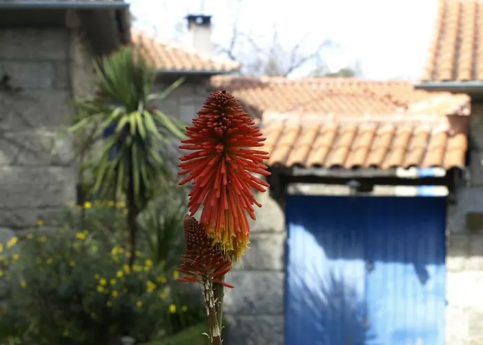 Quinta De Sao Simao *