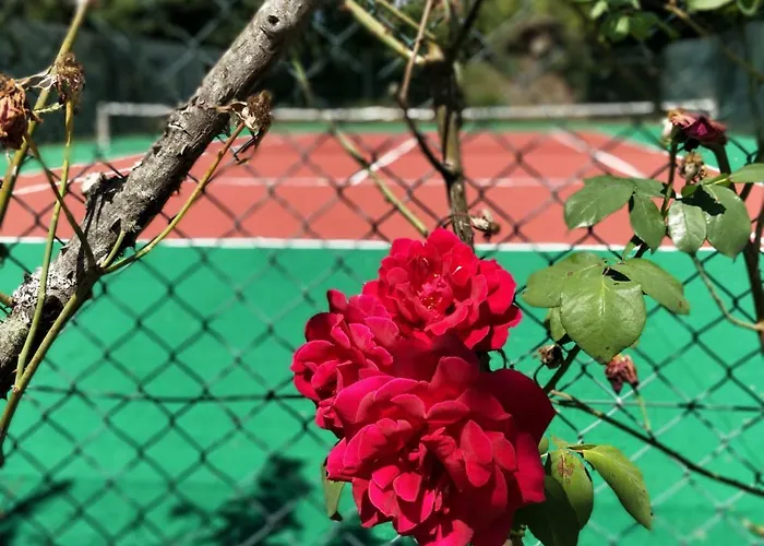 Quinta De Sao Simao בית חווה ויירה דו מיניו