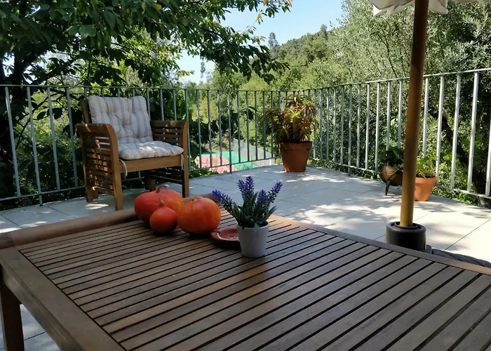 Quinta De Sao Simao Bauernhof *